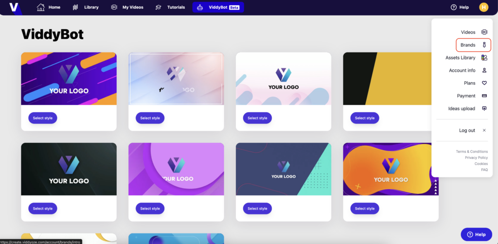 viddyoze app branding